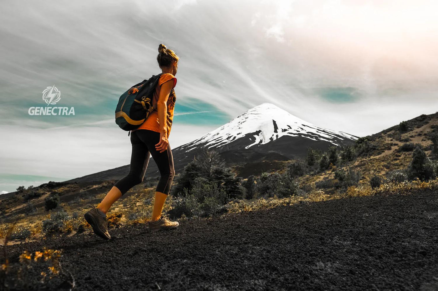 Explora la Belleza Natural: Los 10 Parques Nacionales que Debes Visitar en Chile🏔️