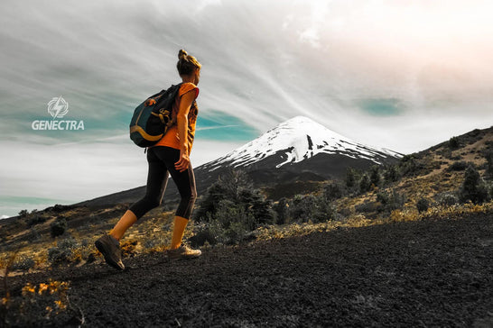 Explora la Belleza Natural: Los 10 Parques Nacionales que Debes Visitar en Chile🏔️