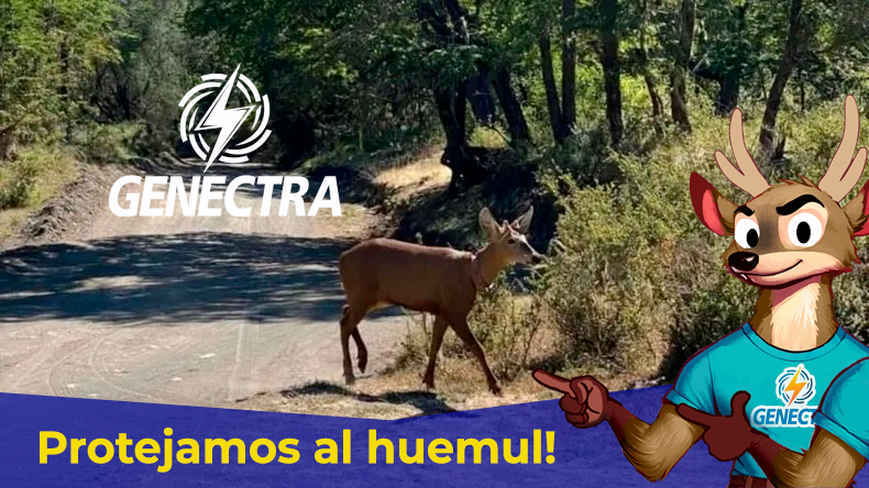 Renace el Huemul: Un Llamado a Proteger Nuestro Patrimonio Natural junto a Travis